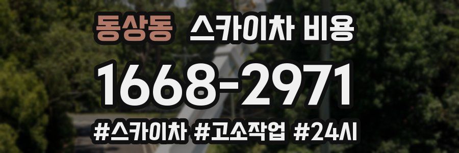 동상동 스카이차 비용