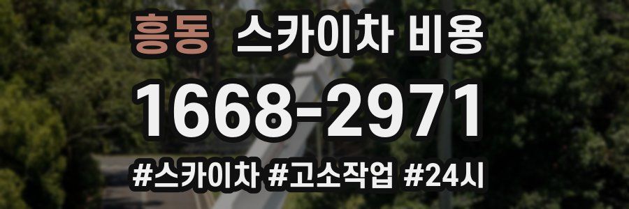 흥동 스카이차 비용