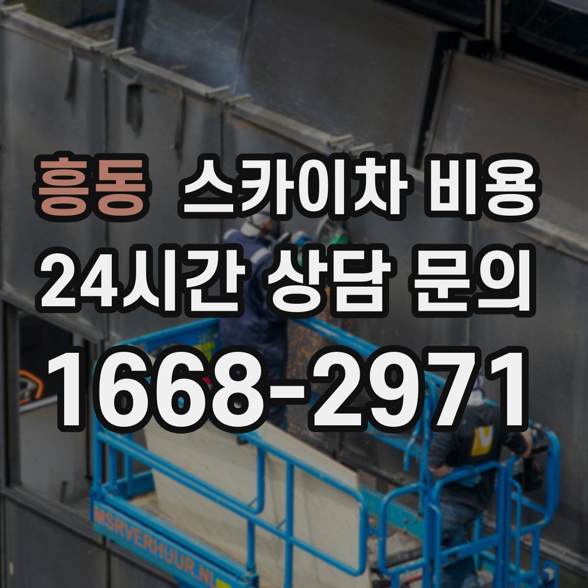 흥동 스카이차 비용