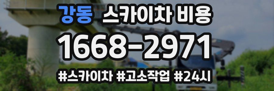 강동 스카이차 비용