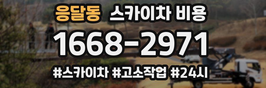 응달동 스카이차 비용