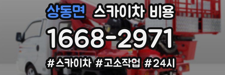 상동면 스카이차 비용