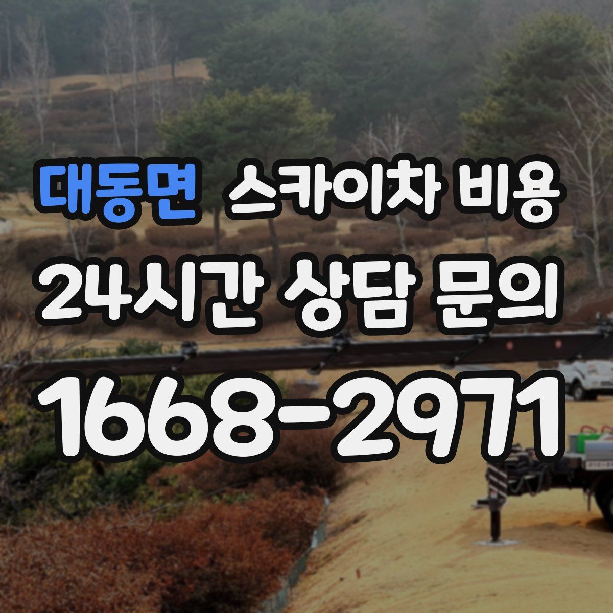 대동면 스카이차 비용