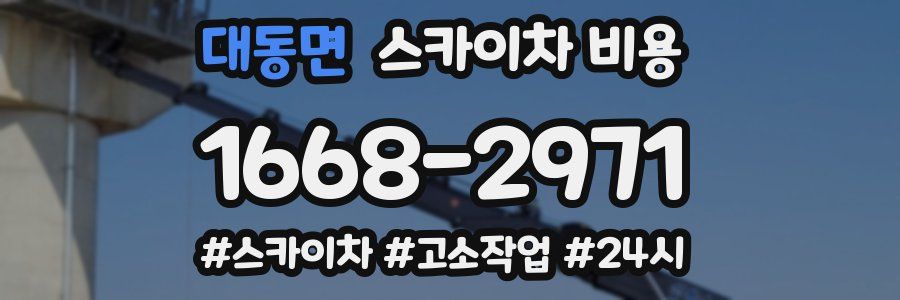 대동면 스카이차 비용