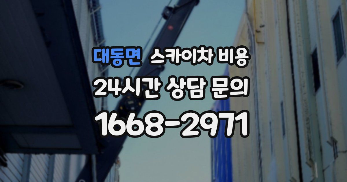 대동면 스카이차 비용