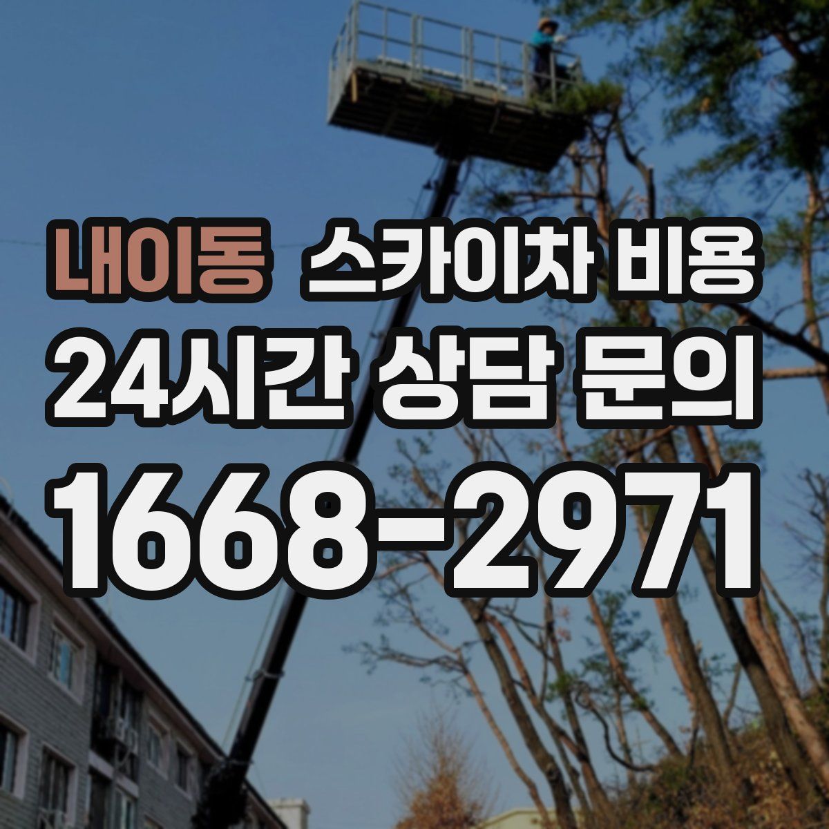 내이동 스카이차 비용