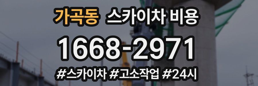 가곡동 스카이차 비용