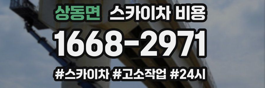 상동면 스카이차 비용