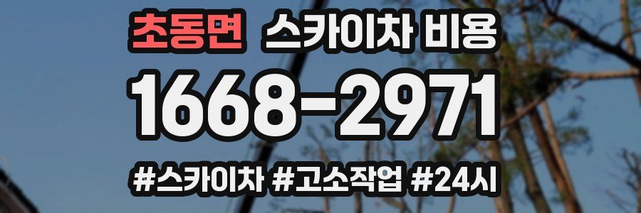 초동면 스카이차 비용