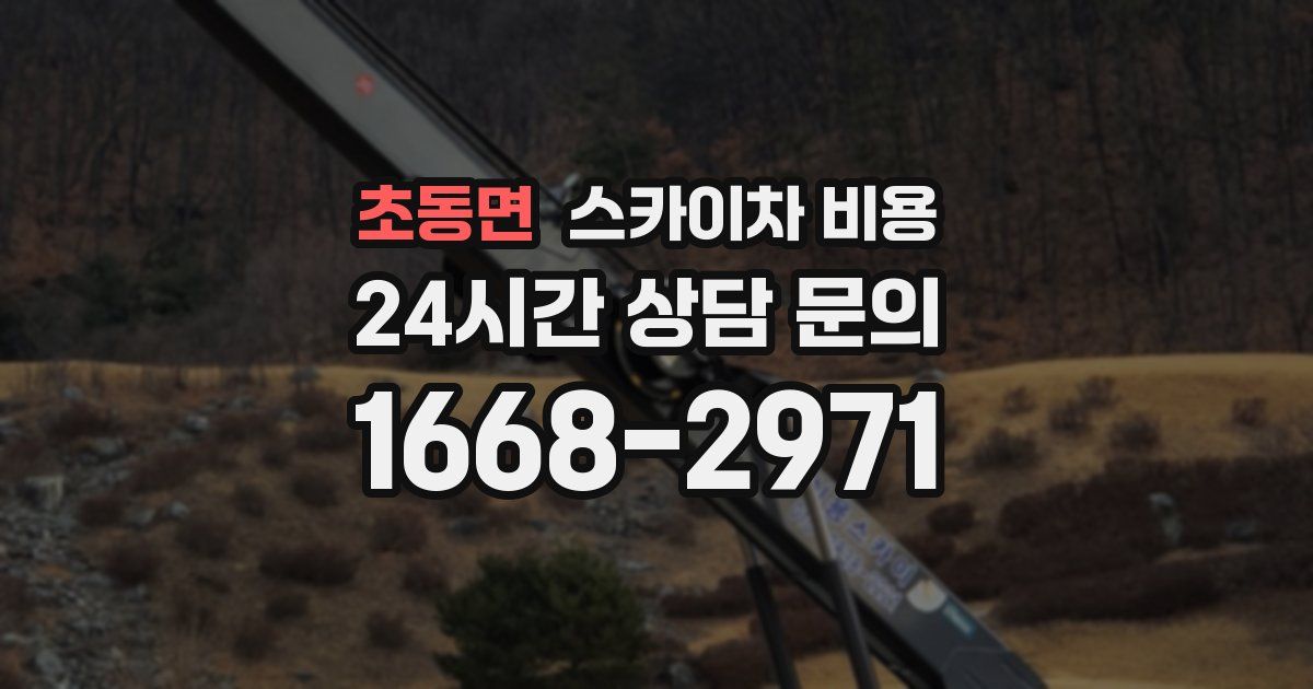 초동면 스카이차 비용