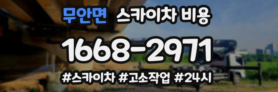 무안면 스카이차 비용