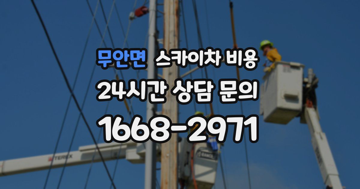 무안면 스카이차 비용