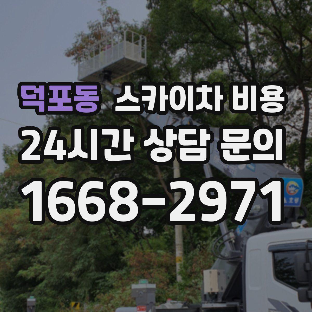 덕포동 스카이차 비용