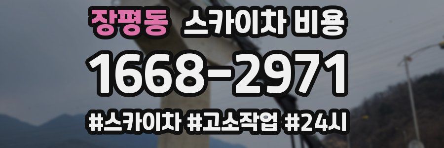 장평동 스카이차 비용
