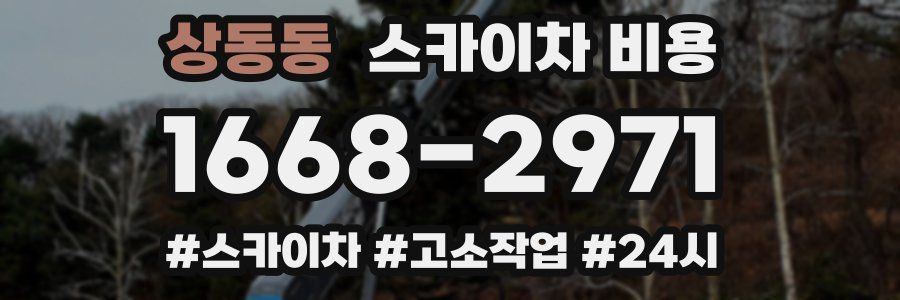 상동동 스카이차 비용