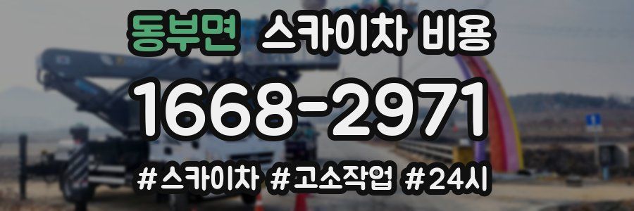 동부면 스카이차 비용