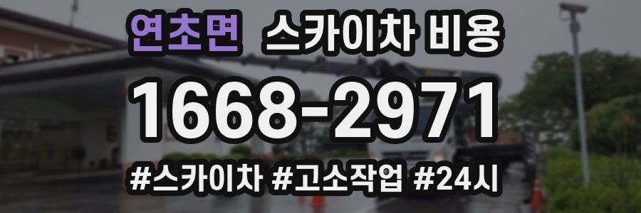 연초면 스카이차 비용