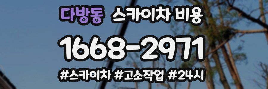 다방동 스카이차 비용