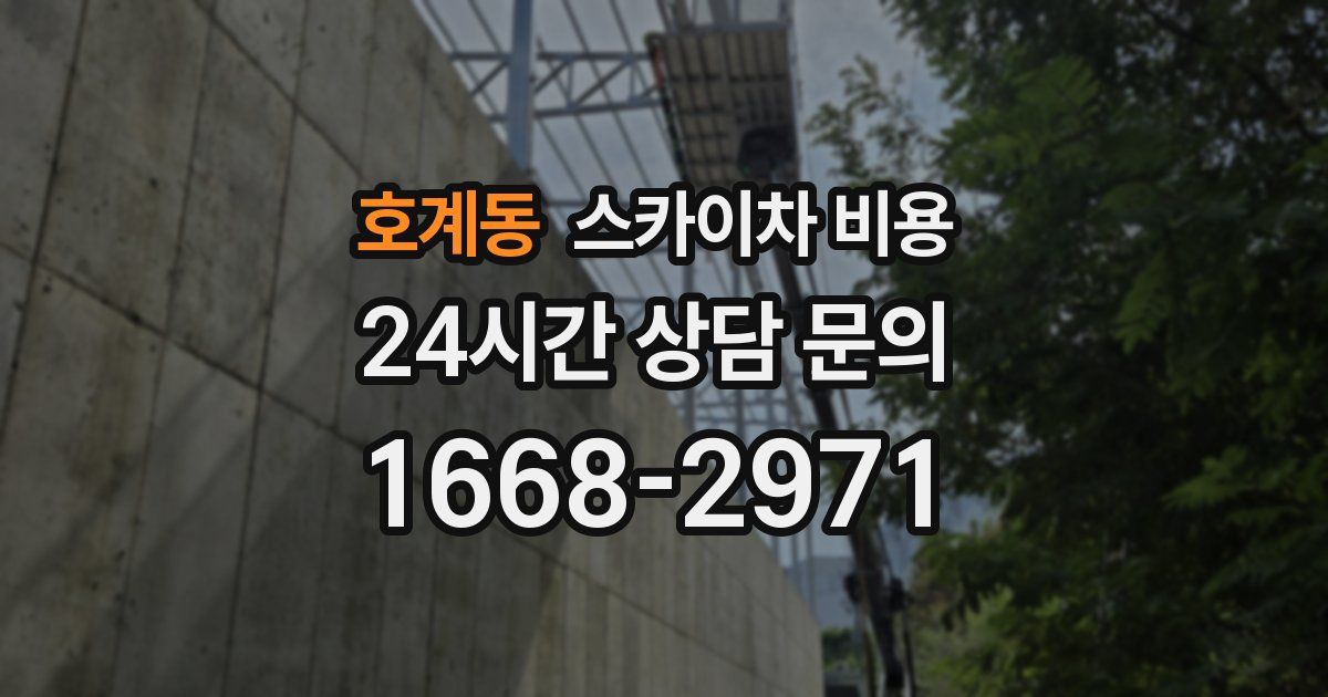 호계동 스카이차 비용