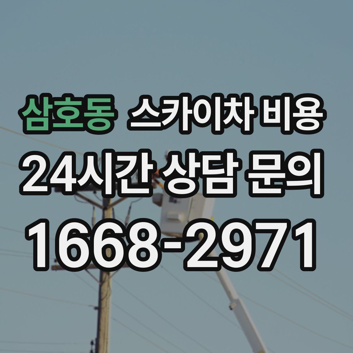 삼호동 스카이차 비용