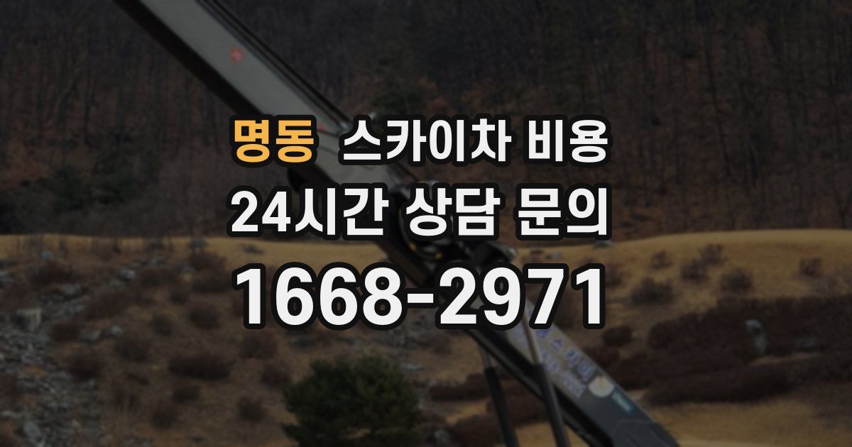 명동 스카이차 비용