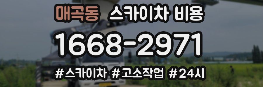 매곡동 스카이차 비용