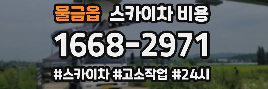 물금읍 스카이차 비용