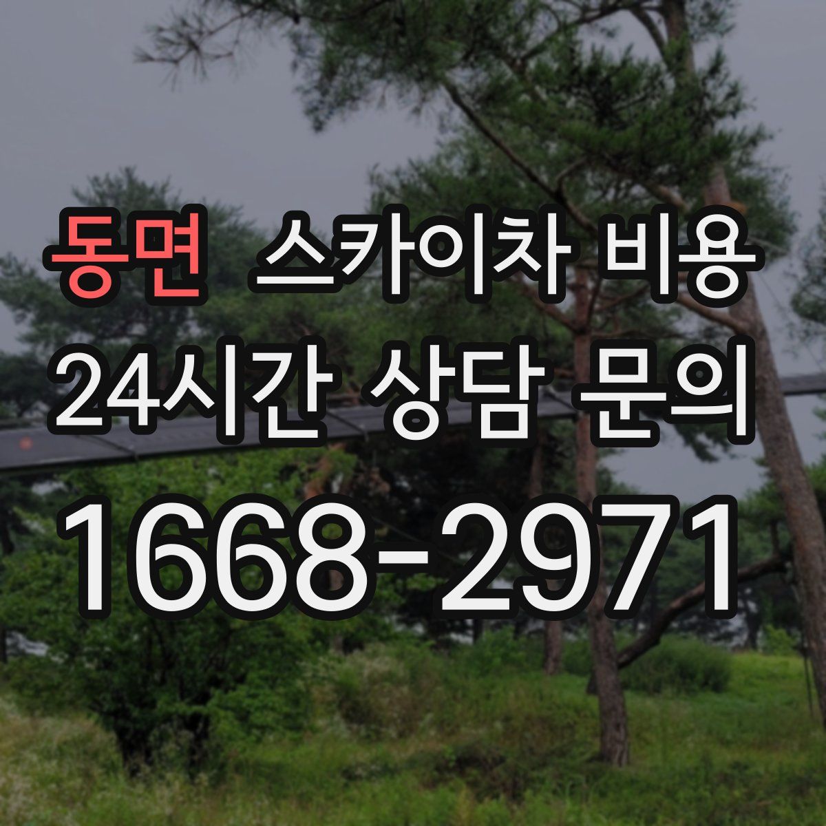 동면 스카이차 비용