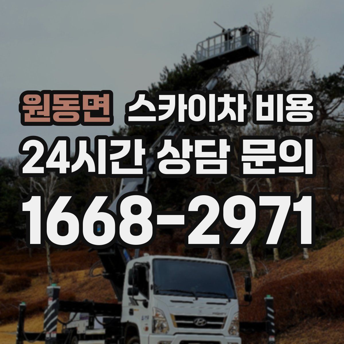 원동면 스카이차 비용