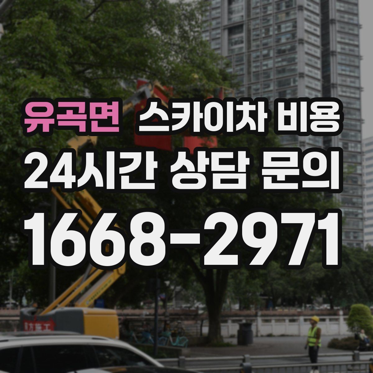 유곡면 스카이차 비용 짧은 작업인데도 견적이 큰 이유
