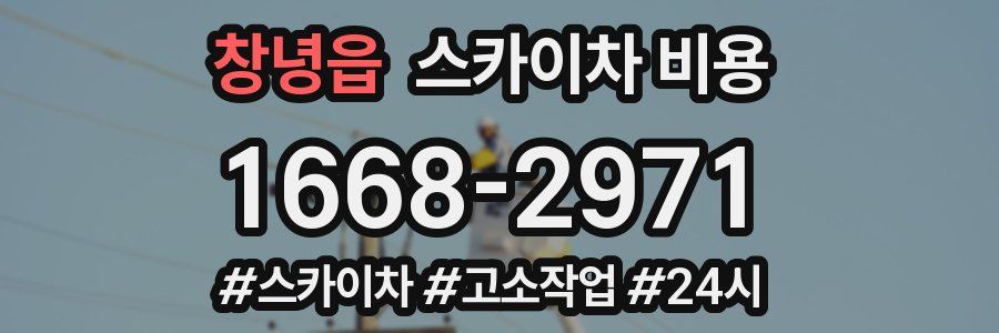 창녕읍 스카이차 비용