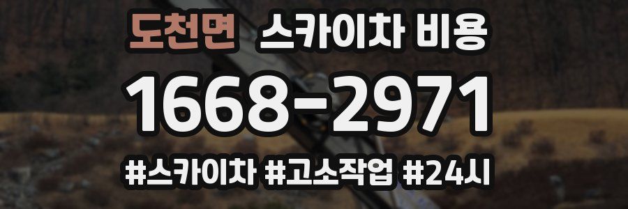 도천면 스카이차 비용