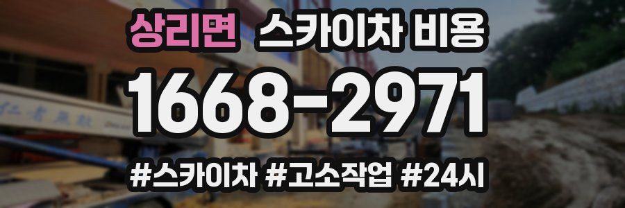 상리면 스카이차 비용