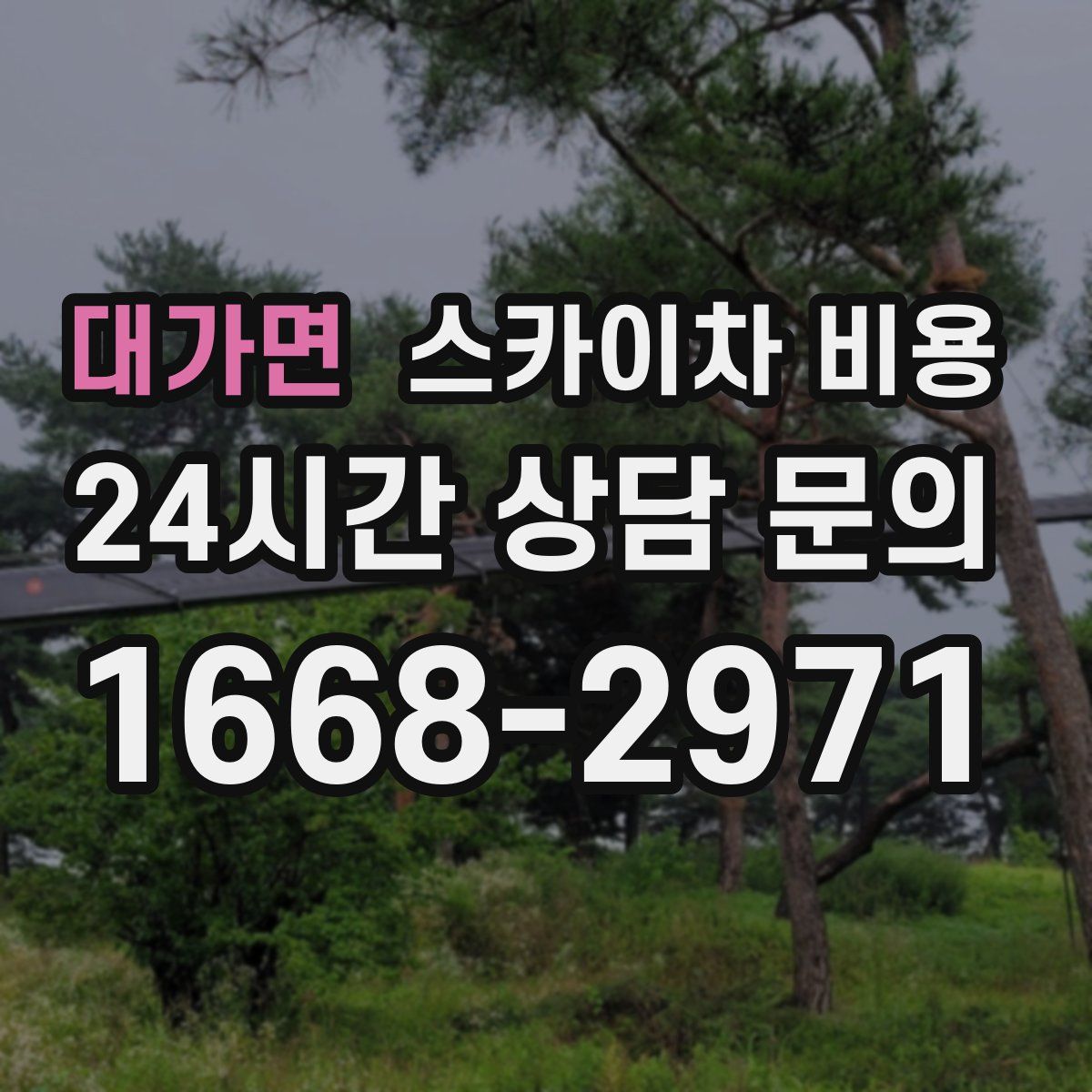 대가면 스카이차 비용