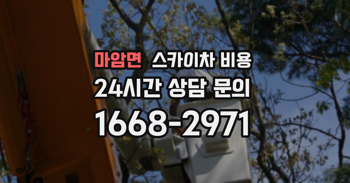 마암면 스카이차 비용