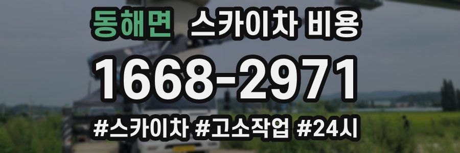 동해면 스카이차 비용