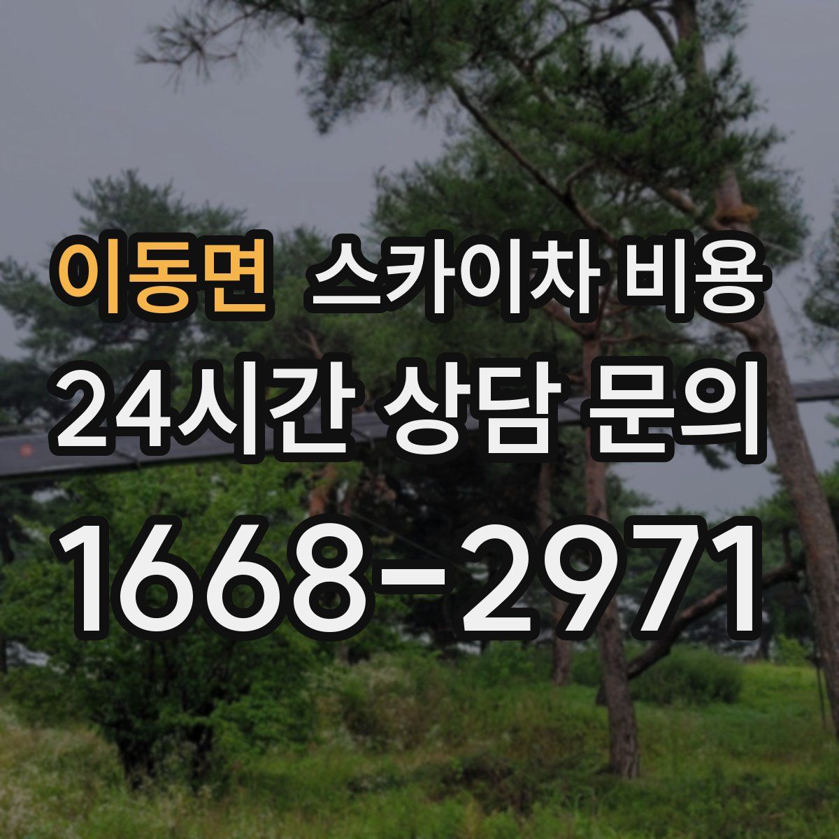 이동면 스카이차 비용