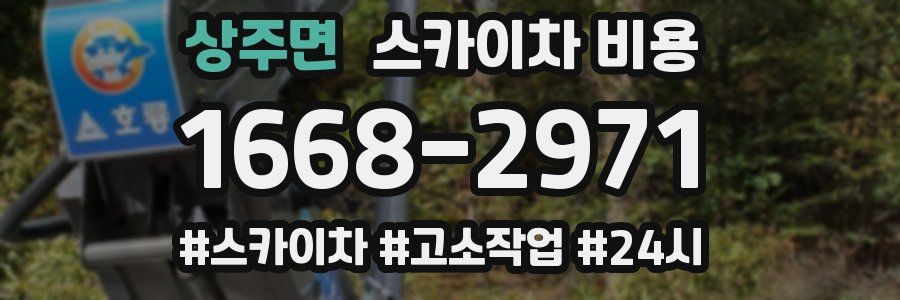 상주면 스카이차 비용