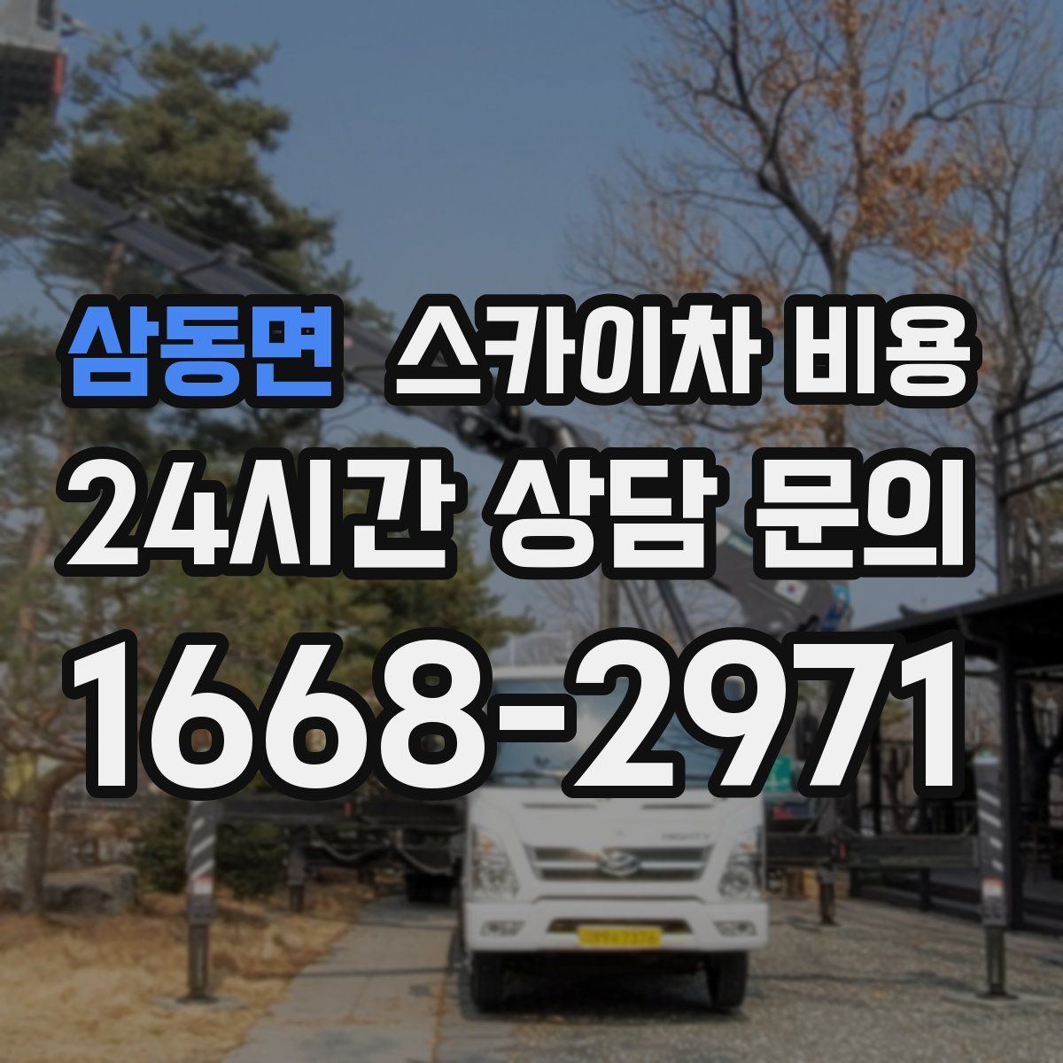 삼동면 스카이차 비용
