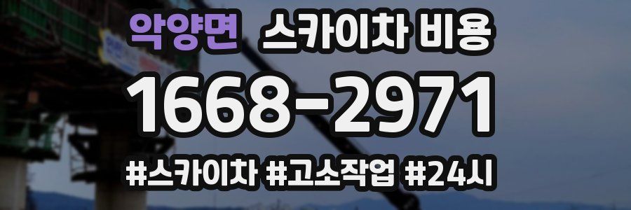 악양면 스카이차 비용