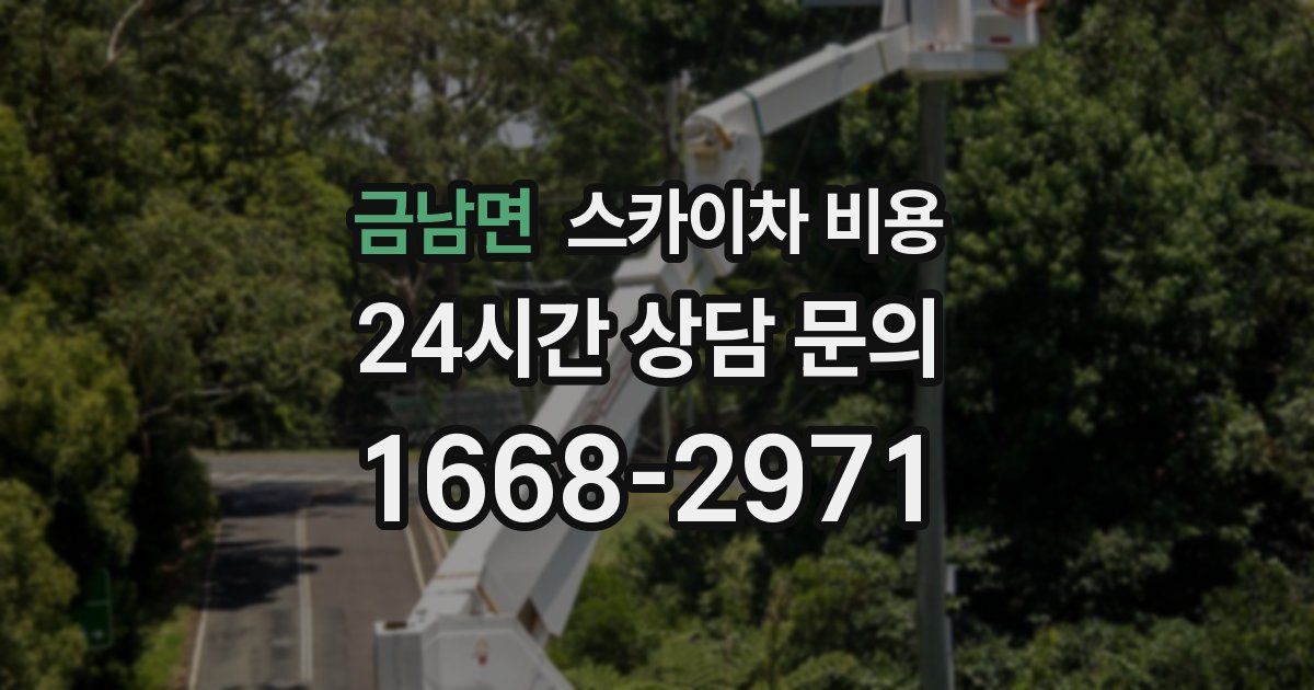 금남면 스카이차 비용