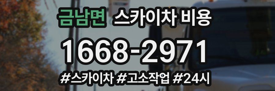 금남면 스카이차 비용