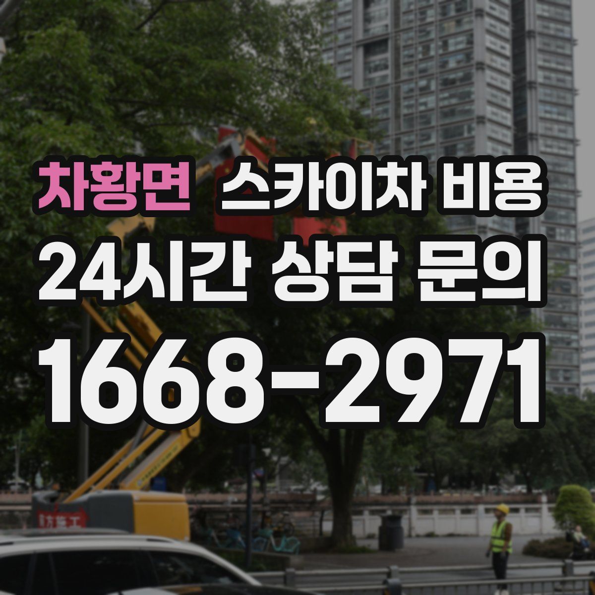 차황면 스카이차 비용