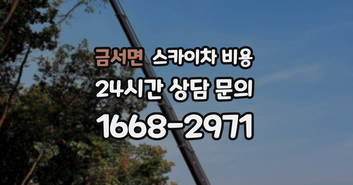 금서면 스카이차 비용