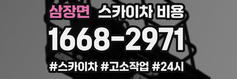 삼장면 스카이차 비용