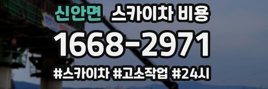 신안면 스카이차 비용