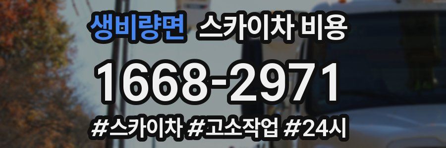 생비량면 스카이차 비용