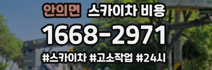 안의면 스카이차 비용