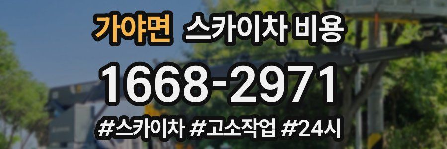 가야면 스카이차 비용