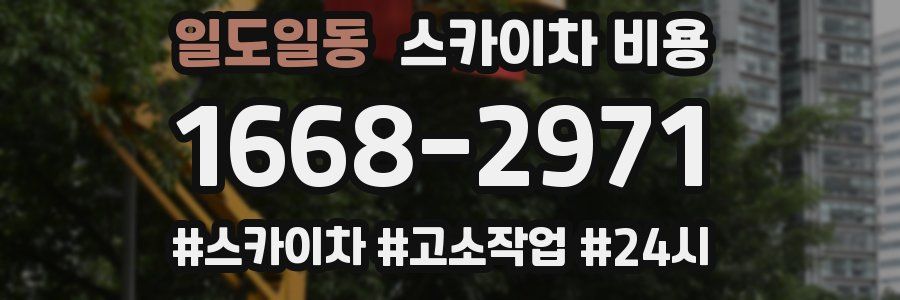 일도일동 스카이차 비용